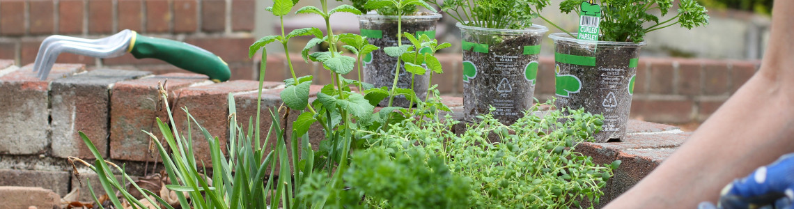 Build Your Own Raised Garden Bed with These 5 Supplies Build Your Own Raised Garden Bed with These 5 Supplies