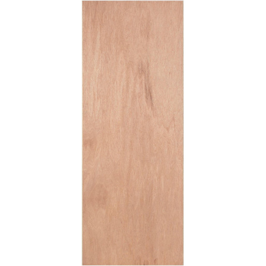 Flush PWD Paint Graded Hollow Core Internal Door Flush PWD Paint Graded Hollow Core Internal Door